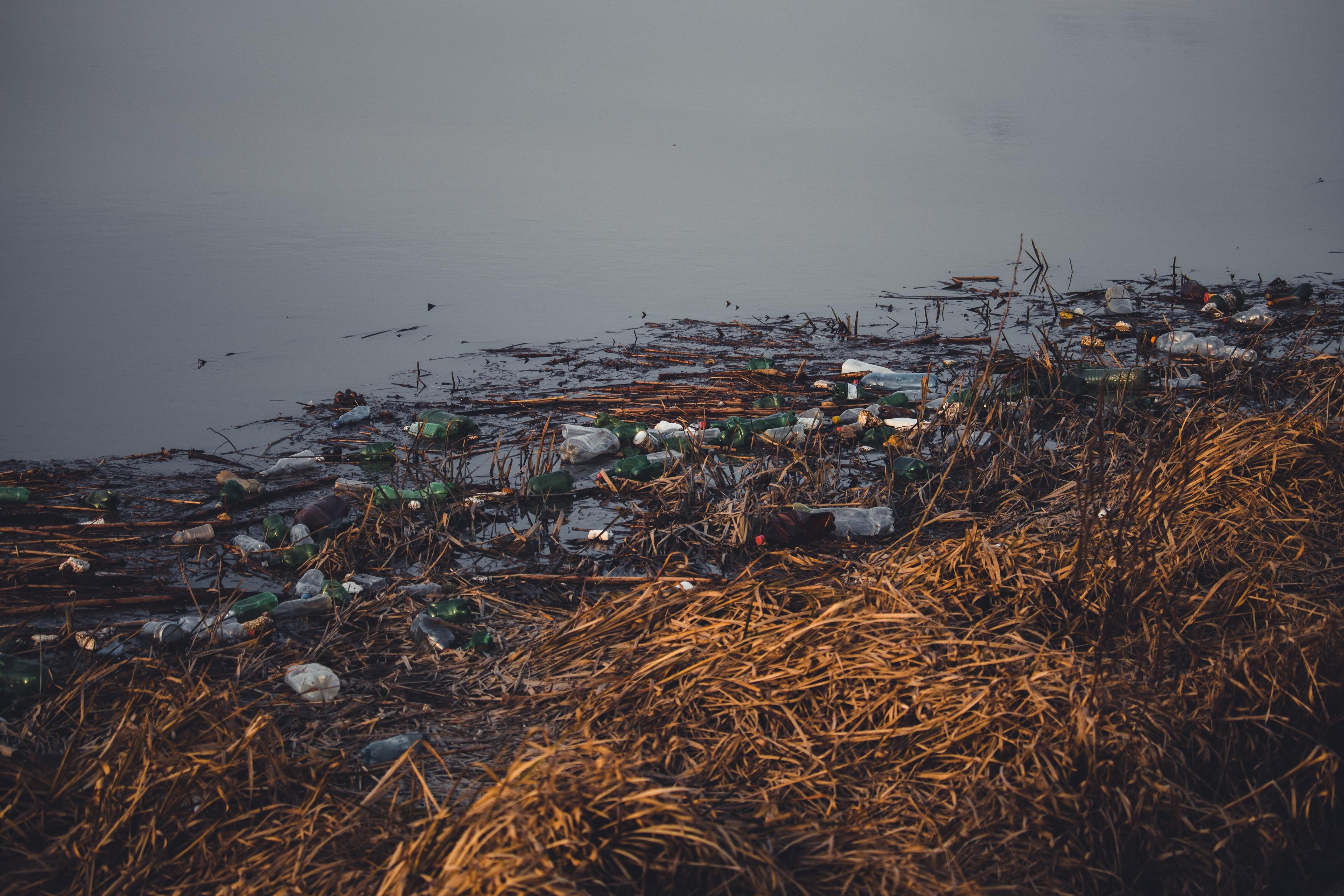 Discarded plastic bottles gathered along a dark waterway.