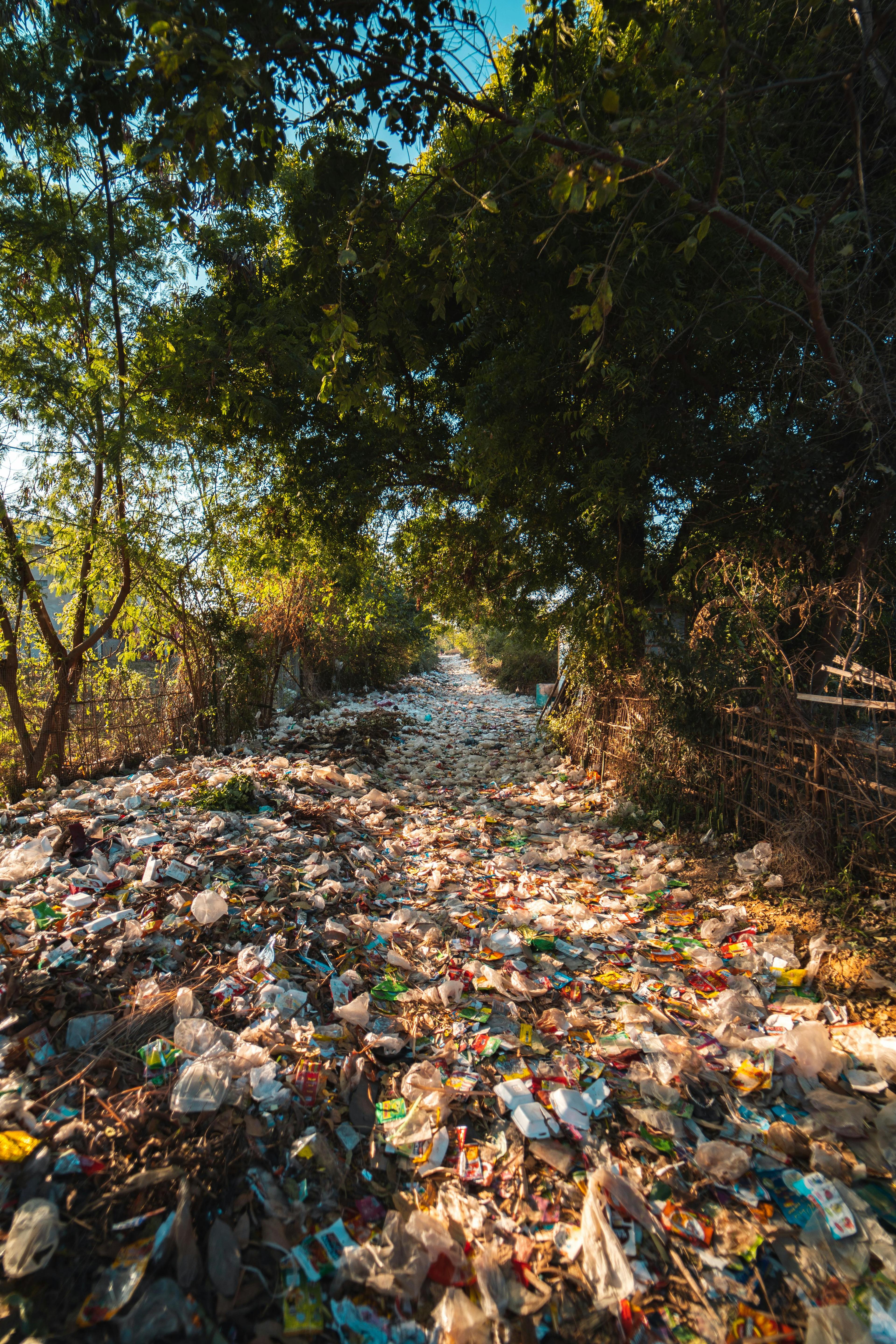 A woodland path littered with discarded plastic bottles.